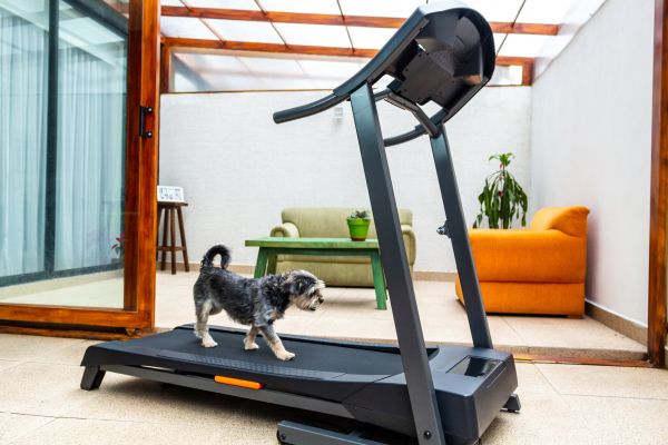 Treadmill Installation in Warwick