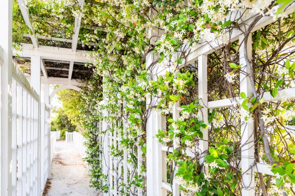 Trellis Repair in Warwick