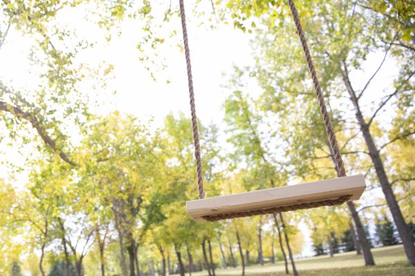 Tree Swing Installation in Warwick