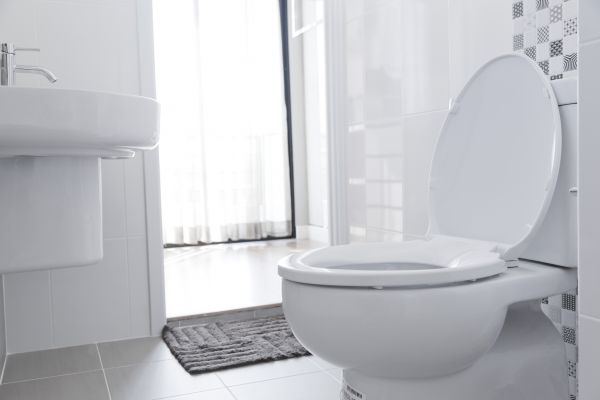 Toilet Seat Installation in Warwick