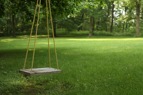 Rope Swing Installation in Warwick