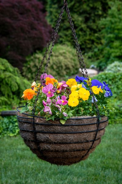 Hanging Basket Installation in Warwick