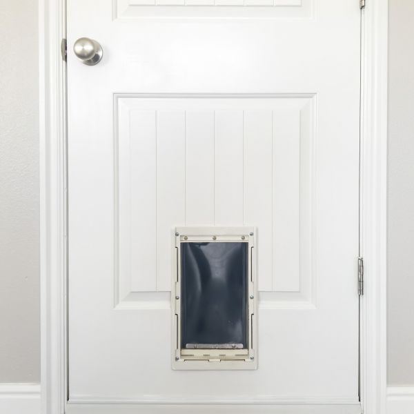 Pet Door Repair in Warwick