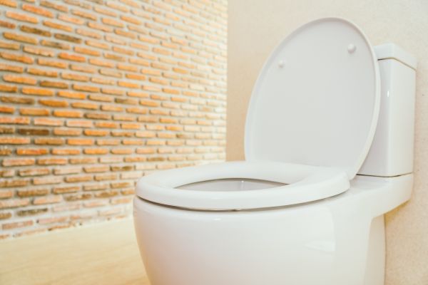 Toilet Seat Repair in Warwick